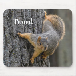 Personlig Rävsvart ekorre på ett träd Musmatta