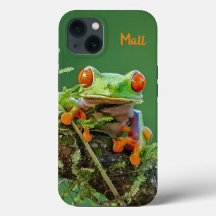Personlig Red Öga Träd Frog på gren