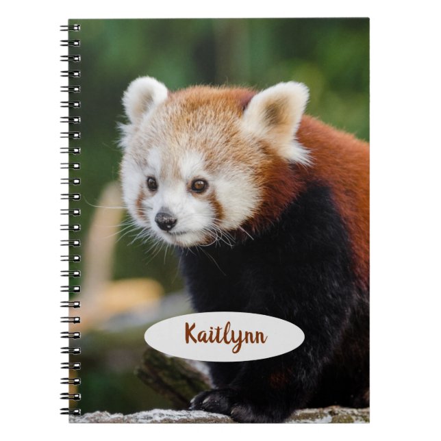 Personlig Red Panda Anteckningsbok (Framsidan)
