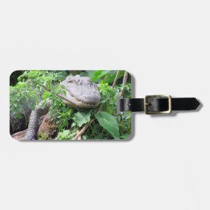Personlig - resggagg - Kompilera gator Bagagebricka