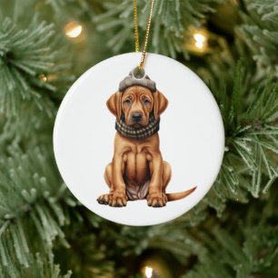 Personlig Rhodesian Ridgeback Hund Julgransprydnad Keramik