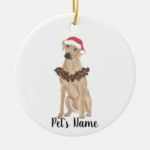 Personlig Rhodesian Ridgeback Julgransprydnad Keramik