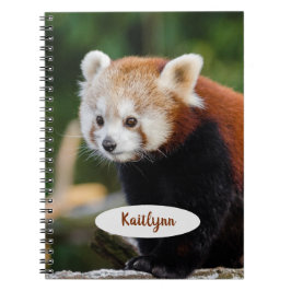 Personlig Röd Panda Anteckningsbok
