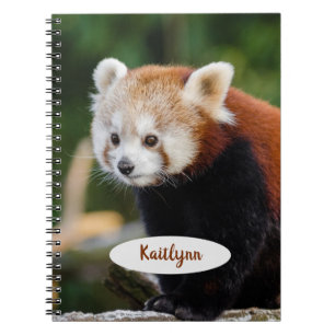 Personlig Röd Panda Anteckningsbok