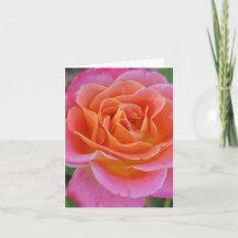 Personlig Rosa och Orange Ros Greeting Card