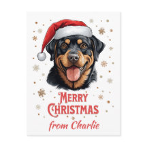Personlig Rottweiler Hund Santa God jul
