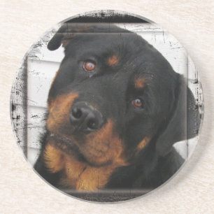 Personlig rottweiler underlägg sandsten