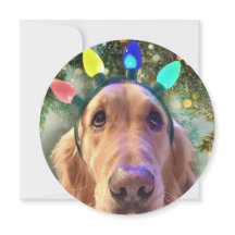 Personlig Round Golden Retriever-julkort