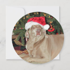 Personlig Round Weimaraner-Hund jul Julkort