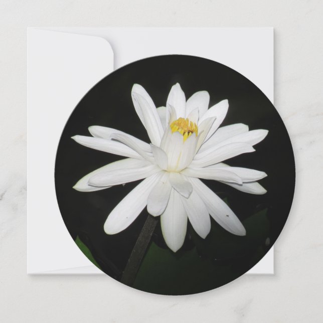 Personlig Round White Vatten Lily-Blommigt Card Julkort (Framsida)