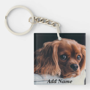 Personlig Ruby Cavalier Kung Charles spanjor