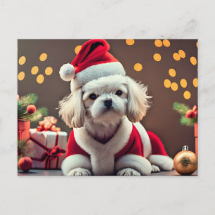 Personlig Santa Malese Hund God jul Helg Vykort
