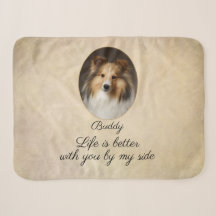 Personlig Sheltie med Dig vid Min Sida
