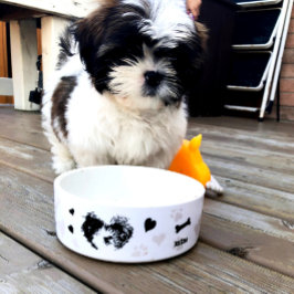 Personlig Shih Tzu Modern Valp Icon Hund Bowl