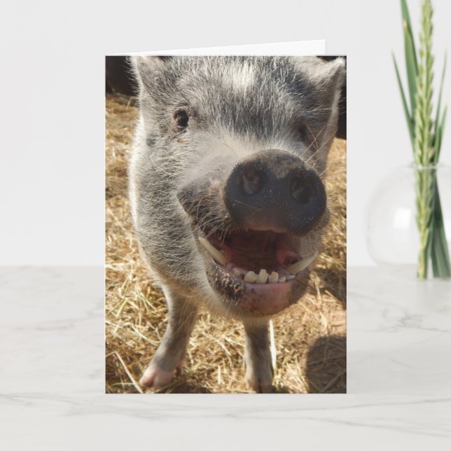 Personlig Smiling Mini Gris Greeting Card Kort (Framsida)
