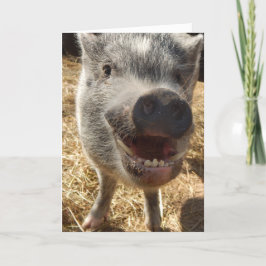 Personlig Smiling Mini Gris Greeting Card Kort