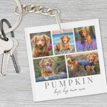 Personlig Smycke För Hundälskare Husdjursfoto