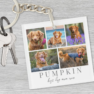 Personlig Smycke För Hundälskare Husdjursfoto