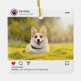 Personlig social-media efter ornament