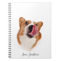 Personlig / söt Corgi-fotografi