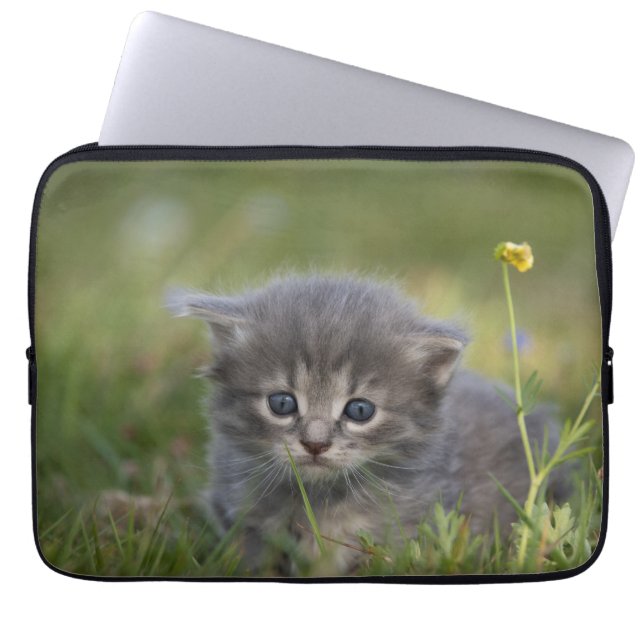 Personlig Söt Liten Katt Laptop Fodral (Framsidan)