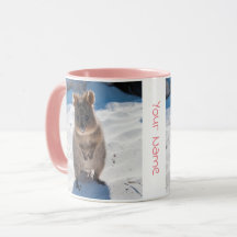 Personlig söt och lycklig quokka på stranden