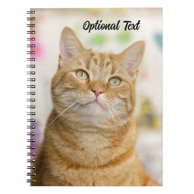 Personlig söt orange tabby katt anteckningsbok (Framsidan)
