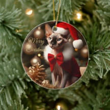 Personlig Sphynx Katt Jul Djur Foto