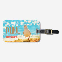 Personlig strandblått med fiskmås