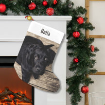 Personlig Svart lab Hund Foto och Hund Namn