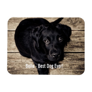 Personlig Svart lab Hund Foto och Hund Namn Magnet