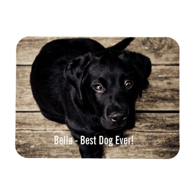 Personlig Svart lab Hund Foto och Hund Namn Magnet (Horisontell)