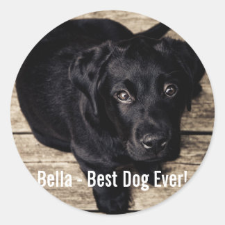Personlig Svart lab Hund Foto och Hund Namn Runt Klistermärke