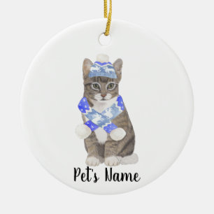 Personlig Tabby katt (Grått) Blue Ski Hat & Scarf Julgransprydnad Keramik