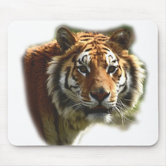 Personlig Tiger Vild Animal Musmatta (Framsidan)