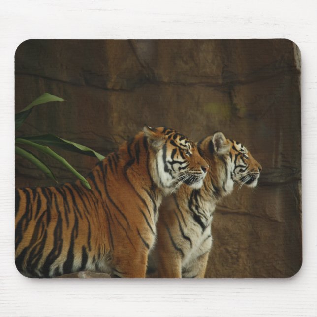 Personlig Tiger Vild Animal Musmatta (Framsidan)