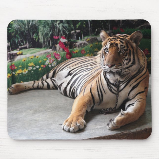 Personlig Tiger Vild Animal Musmatta (Framsidan)
