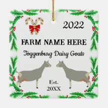 Personlig Toggenburg Dairy Goat Farm jul