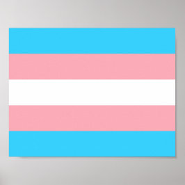 Personlig Transgender Flagga Poster