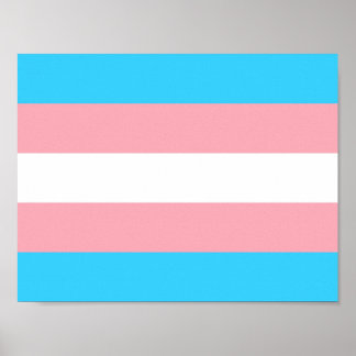 Personlig Transgender Flagga Poster