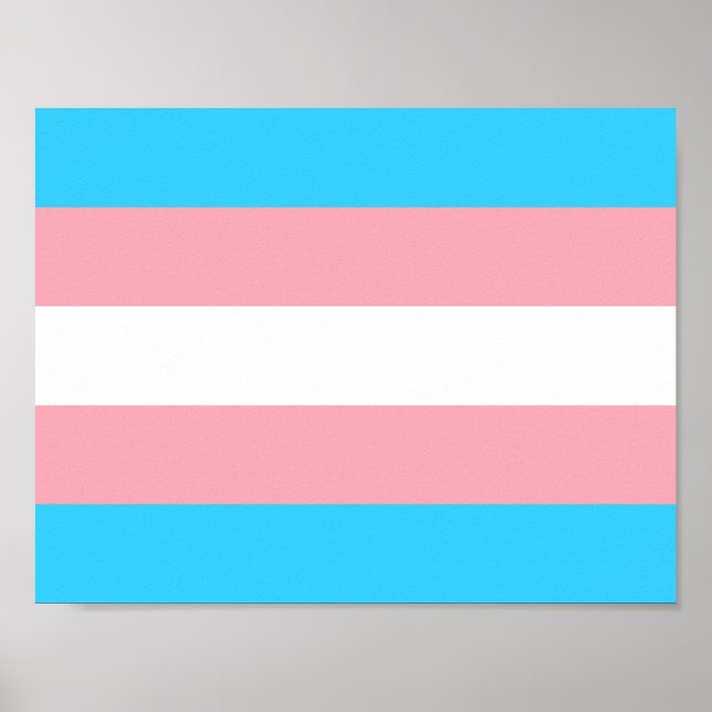 Personlig Transgender Flagga Poster (Framsidan)