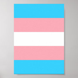Personlig Transgender Flagga Poster
