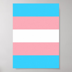 Personlig Transgender Flagga Poster