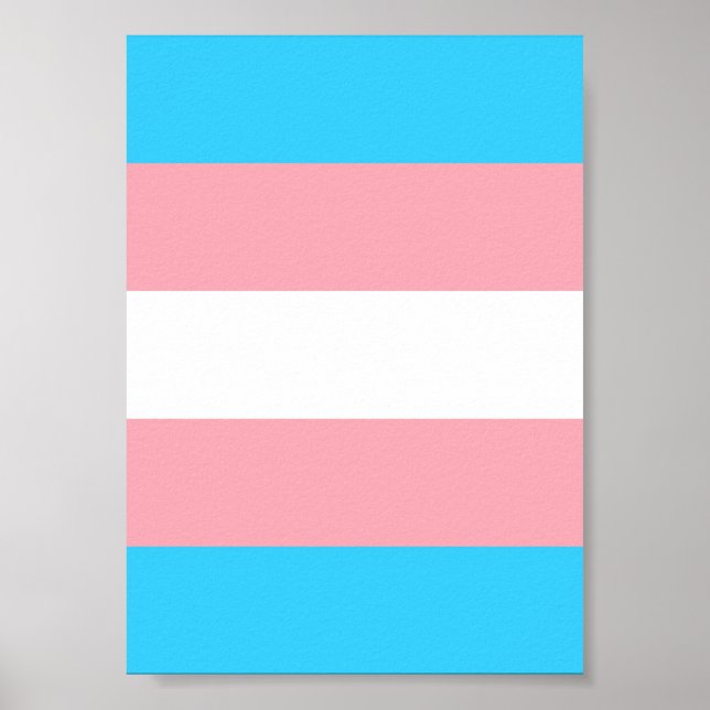 Personlig Transgender Flagga Poster (Framsidan)