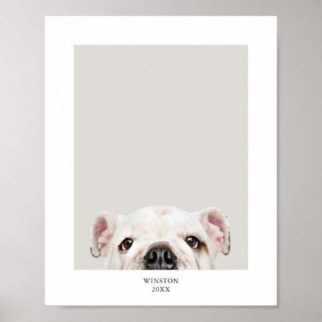 Personlig tryckt bild och namn på husdjur poster (Framsidan)