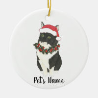 Personlig Tuxedo Ragamuffin Cat