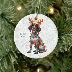 Personlig tysk korthårig pointer jul julgransprydnad keramik