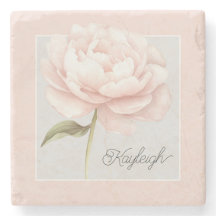 Personlig vacker vit rosa rosblomma