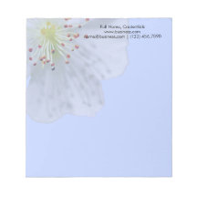 Personlig Vår Vit blomma på ljusblå blått