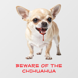 Personlig Varning För Den Aggressiva Chihuahuan